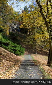 beautiful autumn landscape