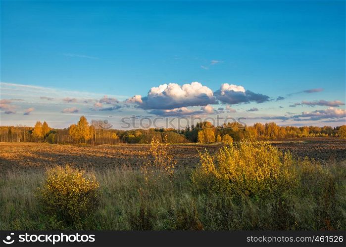 Beautiful autumn landscape in the Golden light of the setting sun in the October evening.