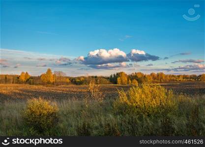 Beautiful autumn landscape in the Golden light of the setting sun in the October evening.