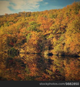 Beautiful autumn landscape. Natural colorful background