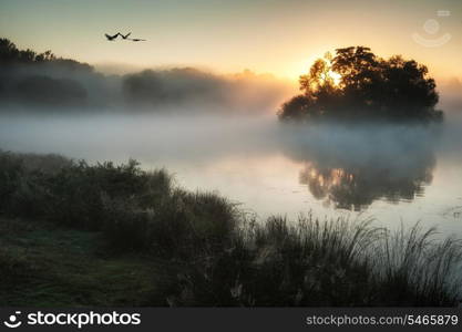 Beautiful Autumn landscape of birds flying over fog covered lake