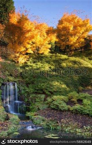 Beautiful Autumn landscape of waterfall