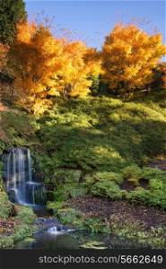 Beautiful Autumn landscape of waterfall