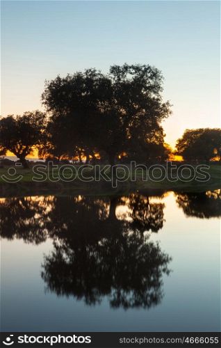 Beautiful autumn landscape. Trees reflected in the river water