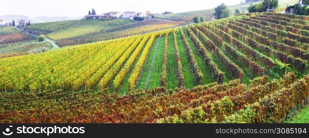 beautiful autumn landscape- vineyards and scenic countryside of Piedmont, Italy