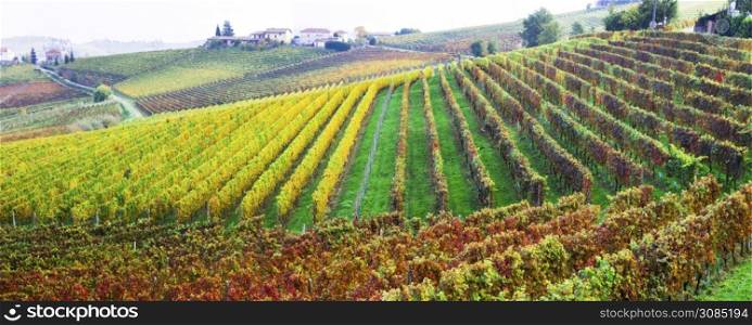 beautiful autumn landscape- vineyards and scenic countryside of Piedmont, Italy