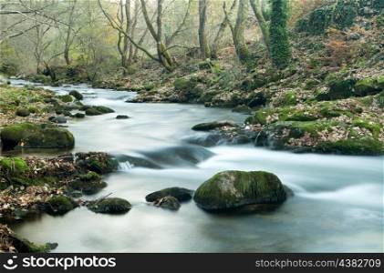 Beautiful autumn landscape with a river surrounded by trees