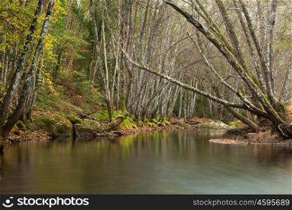 Beautiful autumn landscape with a river surrounded by trees