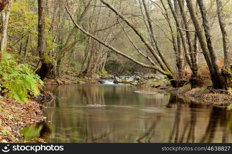 Beautiful autumn landscape with a river surrounded by trees