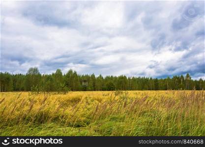 Beautiful autumn landscape with a yellow field on a cloudy day.