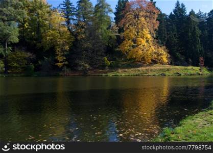 beautiful autumn landscape with colorful trees and a pond