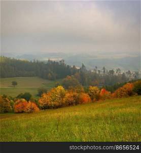 Beautiful autumn landscape with colorful trees. Nature background with fog and rural landscape.
