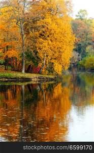 Beautiful autumn landscape with pond in colorful trees forest