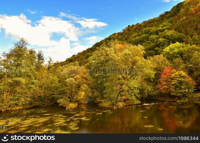 Beautiful autumn landscape with river and colorful trees in a forest at sunset. Thaya Valley National Park Austria.