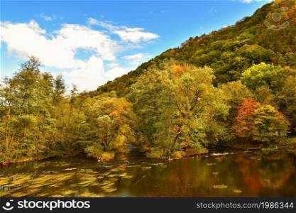 Beautiful autumn landscape with river and colorful trees in a forest at sunset. Thaya Valley National Park Austria.