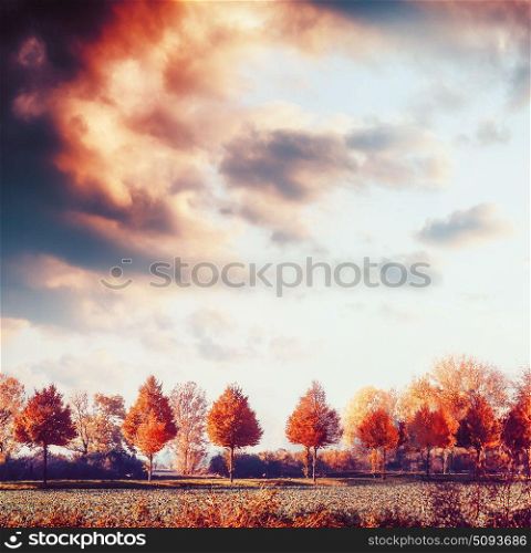 Beautiful autumn landscape with trees, field and sky. Fall outdoor nature background