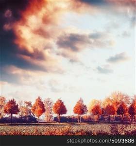 Beautiful autumn landscape with trees, field and sky. Fall outdoor nature background