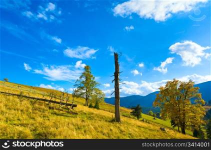 beautiful autumn mountain and dry tree trunk on mountainside (Carpathian. Ukraine)