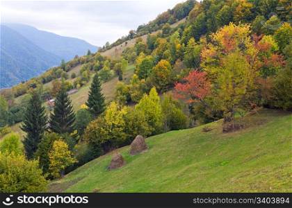beautiful autumn mountain and haystack on mountainside (Carpathian. Ukraine)