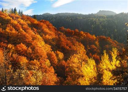 Beautiful autumn mountains at sunset. Serbia