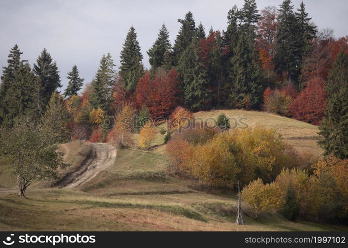 beautiful autumn mountains landscape. Carpathians, Ukraine