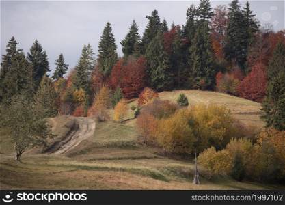 beautiful autumn mountains landscape. Carpathians, Ukraine