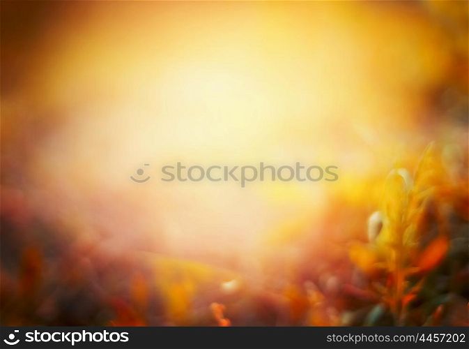 Beautiful autumn nature background on fall garden or park. Blurred.