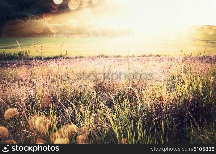 Beautiful autumn or late summer country landscape with grass, field and sunbeams, outdoor nature background