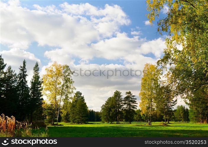 beautiful autumn park view at sunny weather