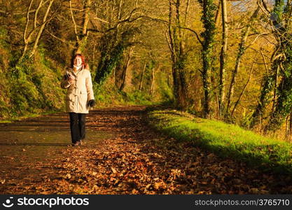 Beautiful autumn pathway. Co.Cork, Ireland Europe. Woman walking relaxing outdoor. Sunny day orange fall leaves.