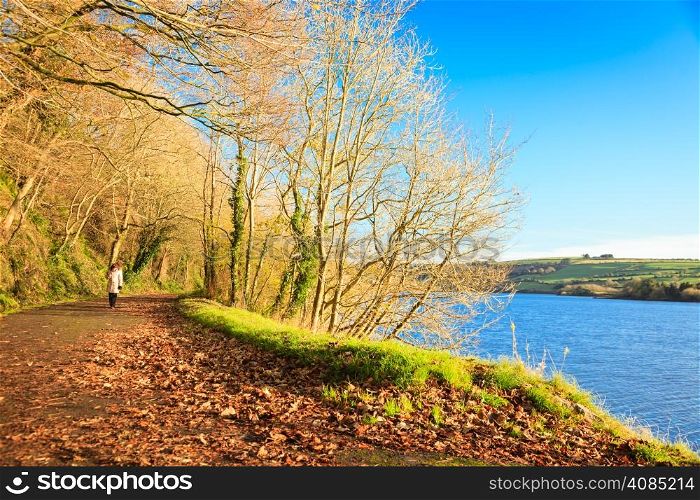 Beautiful autumn pathway. Co.Cork, Ireland Europe. Woman walking relaxing outdoor. Sunny day orange fall leaves.