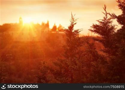 Beautiful autumn rain landscape, bright yellow sunset light sun shines on the branches of pine trees in rainy weather, countryside