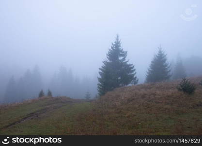 Beautiful autumn rural landscape with mountain and trees over amazing colors sky. Carpathian Mountains. Ukraine.. Beautiful autumn rural landscape with mountain and trees over amazing colors sky.