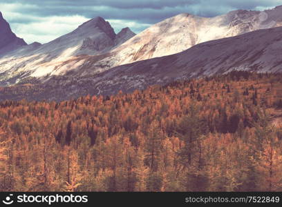 Beautiful autumn season in Canadian mountains. Fall background.