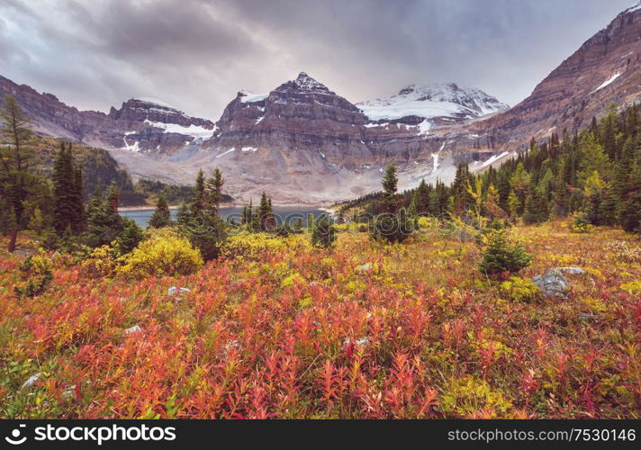 Beautiful autumn season in Canadian mountains. Fall background.