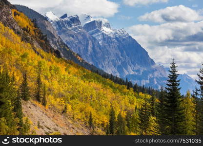 Beautiful autumn season in Canadian mountains. Fall background.