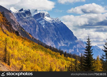 Beautiful autumn season in Canadian mountains. Fall background.