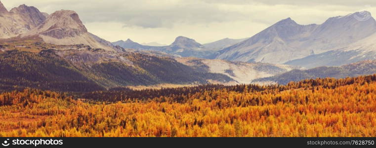 Beautiful autumn season in Canadian mountains. Fall background.