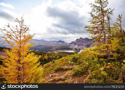 Beautiful autumn season in Canadian mountains. Fall background.