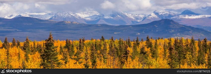 Beautiful autumn season in Canadian mountains. Fall background.