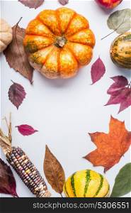 Beautiful autumn seasonal background with pumpkins , various fall leaves, and corn on white table background, top view, frame