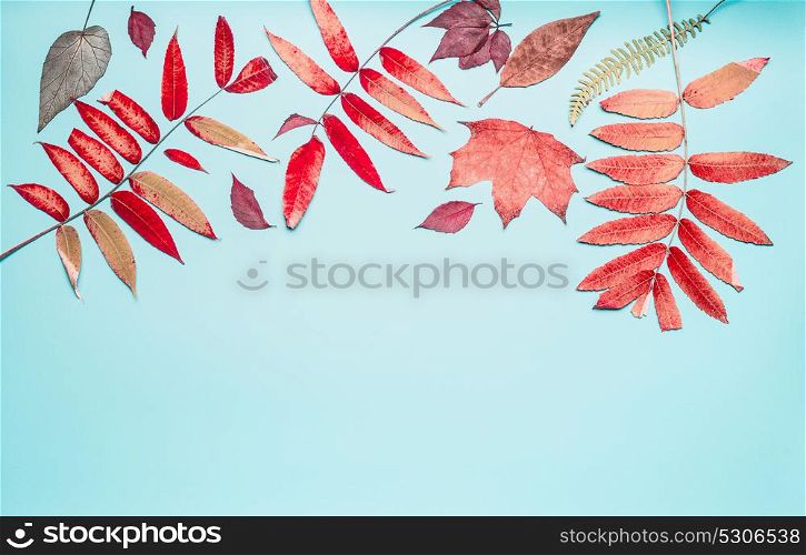 Beautiful autumn seasonal composing or border made with various colorful fall leaves on turquoise blue background, top view , frame
