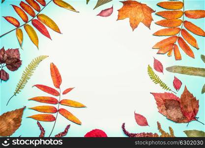 Beautiful autumn seasonal composing or pattern made with various colorful dried fall leaves on turquoise blue background, top view , frame