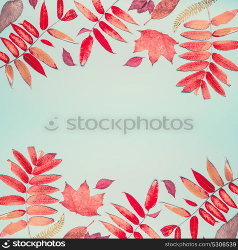 Beautiful autumn seasonal composing or pattern made with various colorful fall leaves on turquoise blue background, top view , frame