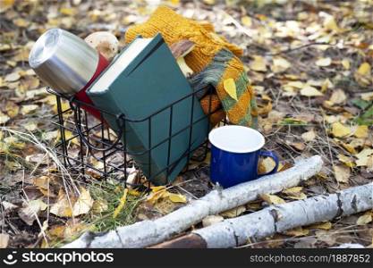beautiful autumn still life. cozy autumn - woolen socks, a thermos with a cup, a book and mushrooms