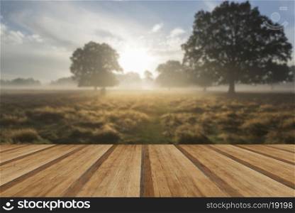 Beautiful Autumn sunrise countryside landscape with wooden planks floor