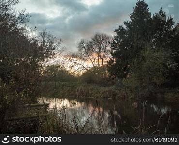 beautiful autumn sunset foliage trees bare cold lake surface; essex; england; uk