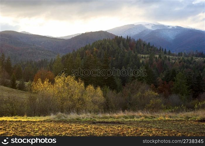 Beautiful autumn view of Carpathian Mountains. Ukraine
