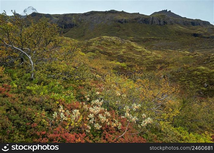 Beautiful autumn view of Mulagljufur Canyon Iceland. Not far from Ring Road and at the south end of Vatnajokull icecap and Oraefajokull volcano.