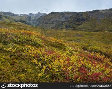 Beautiful autumn view of Mulagljufur Canyon Iceland. Not far from Ring Road and at the south end of Vatnajokull icecap and Oraefajokull volcano.